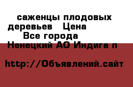 саженцы плодовых деревьев › Цена ­ 6 080 - Все города  »    . Ненецкий АО,Индига п.